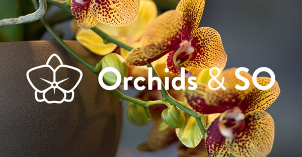 Orchids & So is live! 
